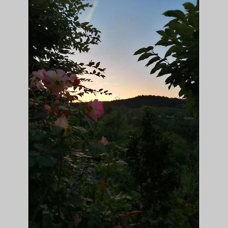 Nachhaltiges Wohnen In Seenaehe Schoemberg  Exterior foto